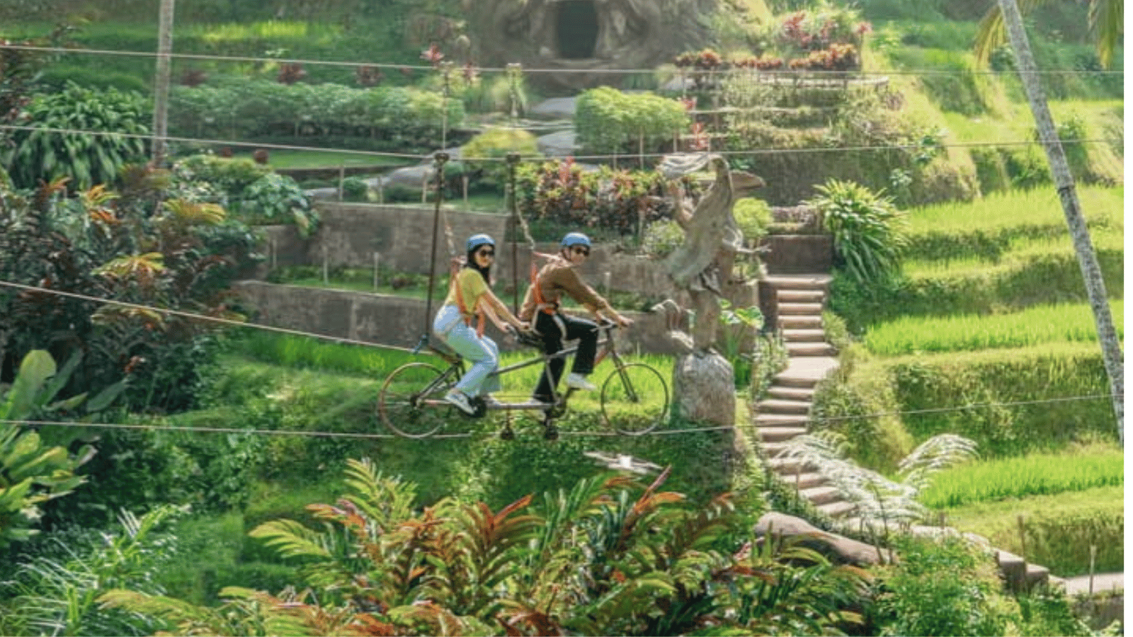 Swing and skybike tour (3)